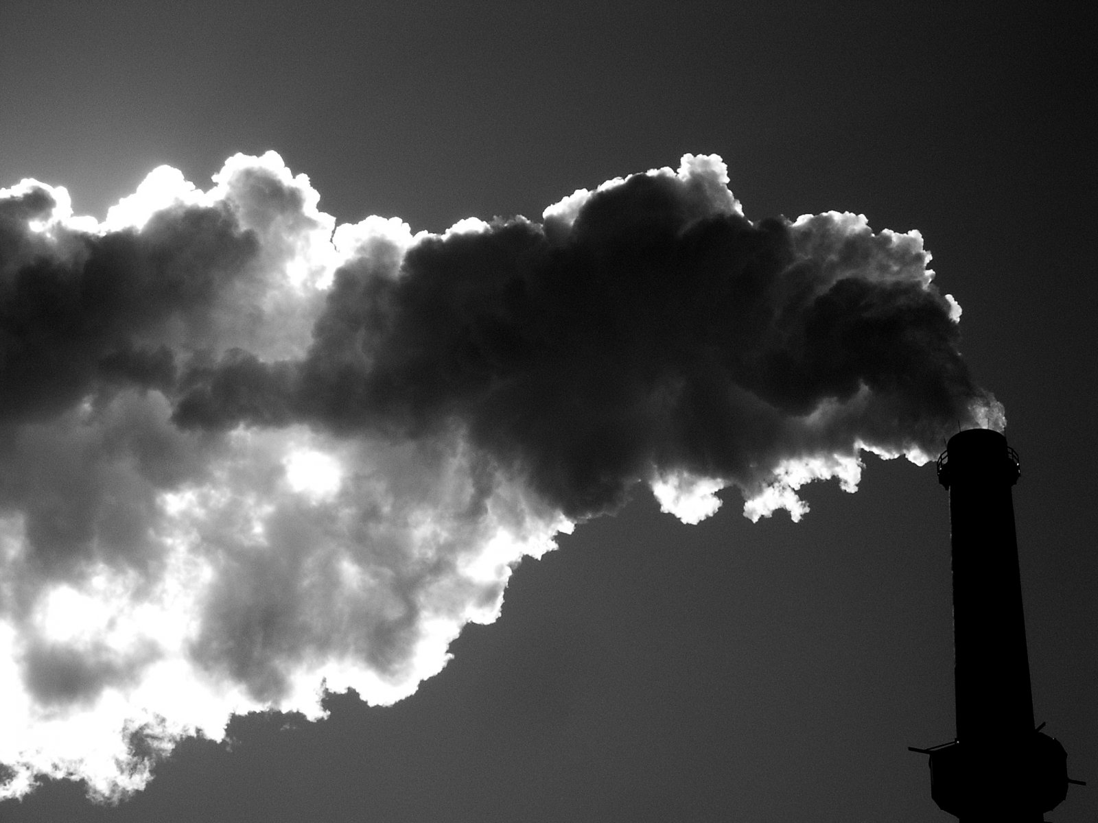 States may choose to join a carbon trading program to comply with Clean Power Plan rules
