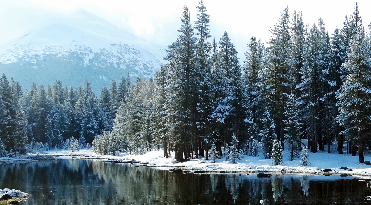 Snow melting in Yosemite National Park. Credit: Don Graham/CC-BY-SA-2.0