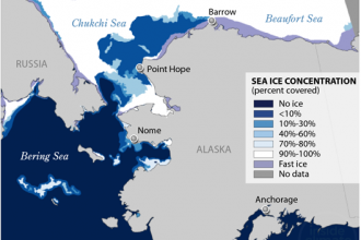 Map: Disappearing Sea Ice