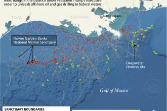 Trump drilling order imperils Gulf reef protection plan
