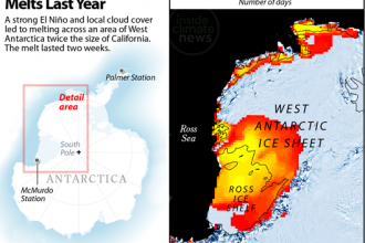 Antarctica Experienced One of Its Biggest Ice Melts Last Year