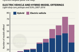 More Models of Electric Vehicles Hitting the Road