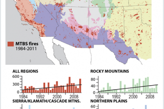 Large Wildfires More Common Across the U.S.
