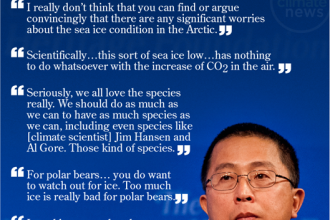 Willie Soon, In His Own Words
