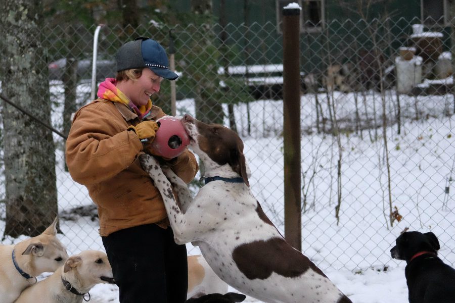 Mel Omernick races dog sleds in Wisconsin, but lately the winter races have shift to dirt tracks and wheels as the winter snow becomes less reliable. Credit: Meera Subramanian/InsideClimate News