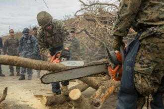 Marines cleared tree limbs from roadways across St. Croix after Hurricane Maria struck the island on Sept. 19. Now, the officials are determining how to dispose of all that debris. Credit: Lance Cpl. Santino D. Martinez/U.S. Marine Corps