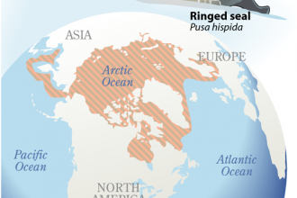 Ringed Seal Habitat Map