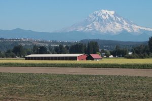 Volcanic plains tend to be fertile farmland. Credit: SounderBruce/CC-BY-SA-2.0