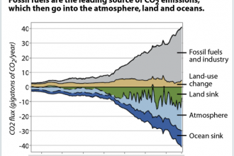 National Climate Assessment: CO2 Sources and Sinks