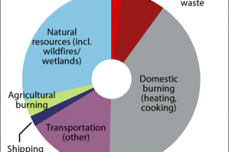 Chart: Global Black Carbon Emissions by Source