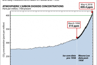 Atmospheric CO2 Levels Have Been Rising