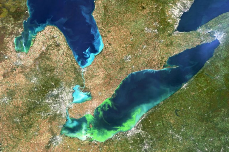 Toxic Algae Blooms Occurring More Often, May Be Caught in Climate