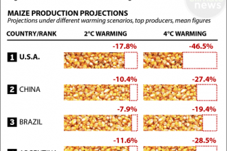 Chart: Global warming increases risks to corn yields