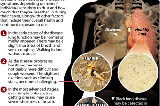 Black Lung Disease: A Primer