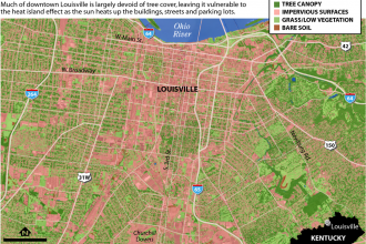 Map: Louisville's Changing Tree Cover