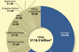 Graph: What's Sparking Crop Insurance Payouts?