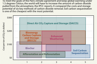Chart: How Do Carbon Storage Techniques Stack Up?
