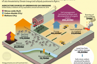 Infographic: How agriculture and livestock contribute to climate change