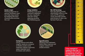 Infographic: Soil's carbon storage can help fight climate change