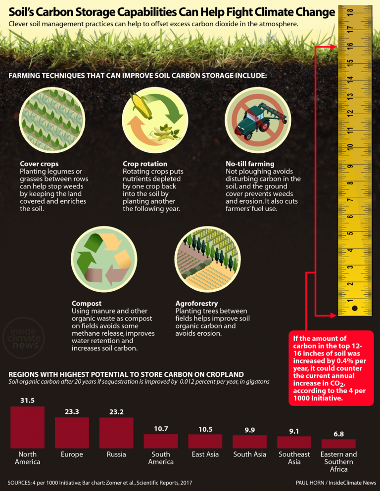 Infographic: Why Farmers Are Ideally Positioned to Fight Climate Change ...
