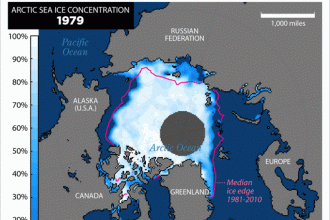 Animation: The Arctic's Shrinking Sea Ice