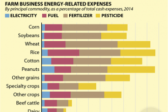 Chart: Fossil Fuel Costs on the Farm