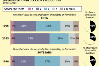 Chart: Bigger Farms, Less Crop Diversity