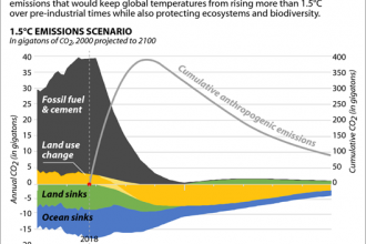 Chart: Saving Ecosystems and the Climate