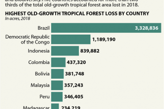 Chart: Top 10 Countries for Old-Growth Tropical Forest Loss in 2018