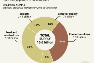 Chart: What Happens to American-Grown Corn?