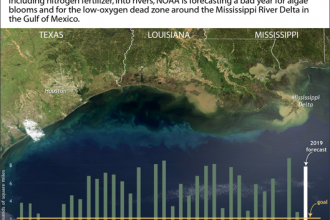 Chart: Gulf of Mexico Dead Zone: 2019 Forecast