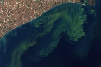 Algae blooms in Lake Erie in 2011. Credit: NASA
