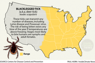 Infographic: Blacklegged Tick