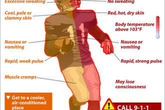 Heat Exhaustion or Heat Stroke? A Guide