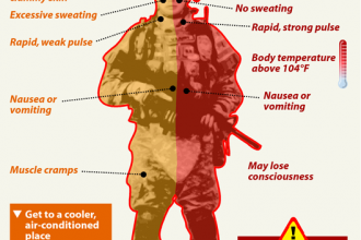 Infographic: Heat Exhaustion or Heat Stroke — a Guide