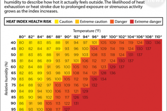 Chart: The Heat Index at a Glance