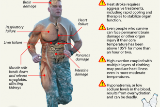 Infographic: What Heat Stroke Does to the Human Body