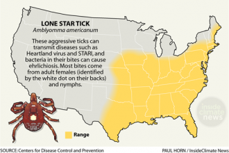 Infographic: Lonestar Tick: Its Range, Diseases and Biting Behavior