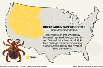 Infographic: Rocky Mountain Wood Tick: Its Range, Diseases and Behavior