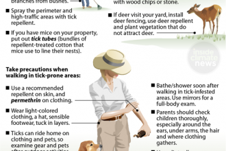 Preventing Tick Bites — at Home and in the Woods