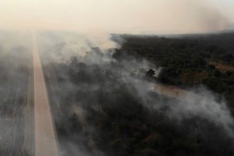 Farmers and ranchers use fire to clear forest for crops and grazing in the Amazon. This year, the numbers of fires is unusually high. Credit: Stringer/AFP/Getty Images