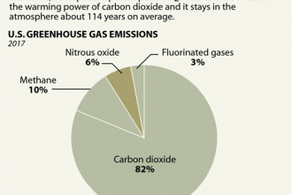 Chart: Nitrous Oxide's Percentage of U.S. Greenhouse Gas Emissions