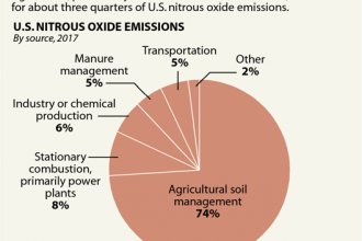 Chart: Where Does N2O Come From?