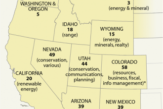 BLM Shuffles Staff