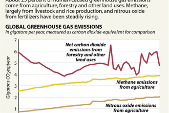 Chart: How Does Land Use Contribute to GHG Emissions?