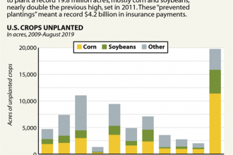 Chart: Floods Left Millions of Acres Unplanted