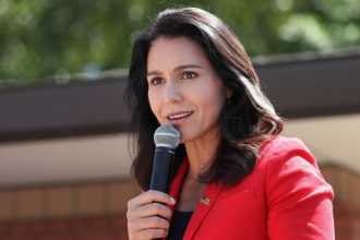 Tulsi Gabbard. Credit: Chip Somodevilla/Getty Images