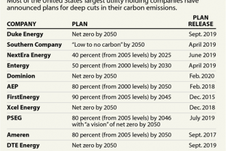 Utilities' Emissions-Cutting Plans