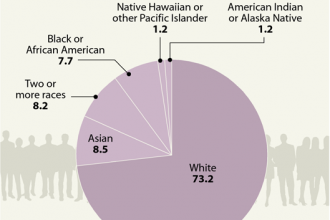 Solar Worker Demographics