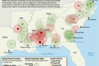 On Fire: Wood Pellets Plants in the Southeast See Rapid Growth